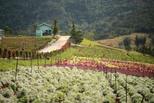 Tà Nung – Vùng sinh thái xanh phía Tây Nam Đà Lạt