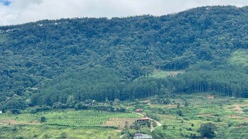 Đông Thanh – Vùng đất cao nguyên yên bình phía Nam Đà Lạt