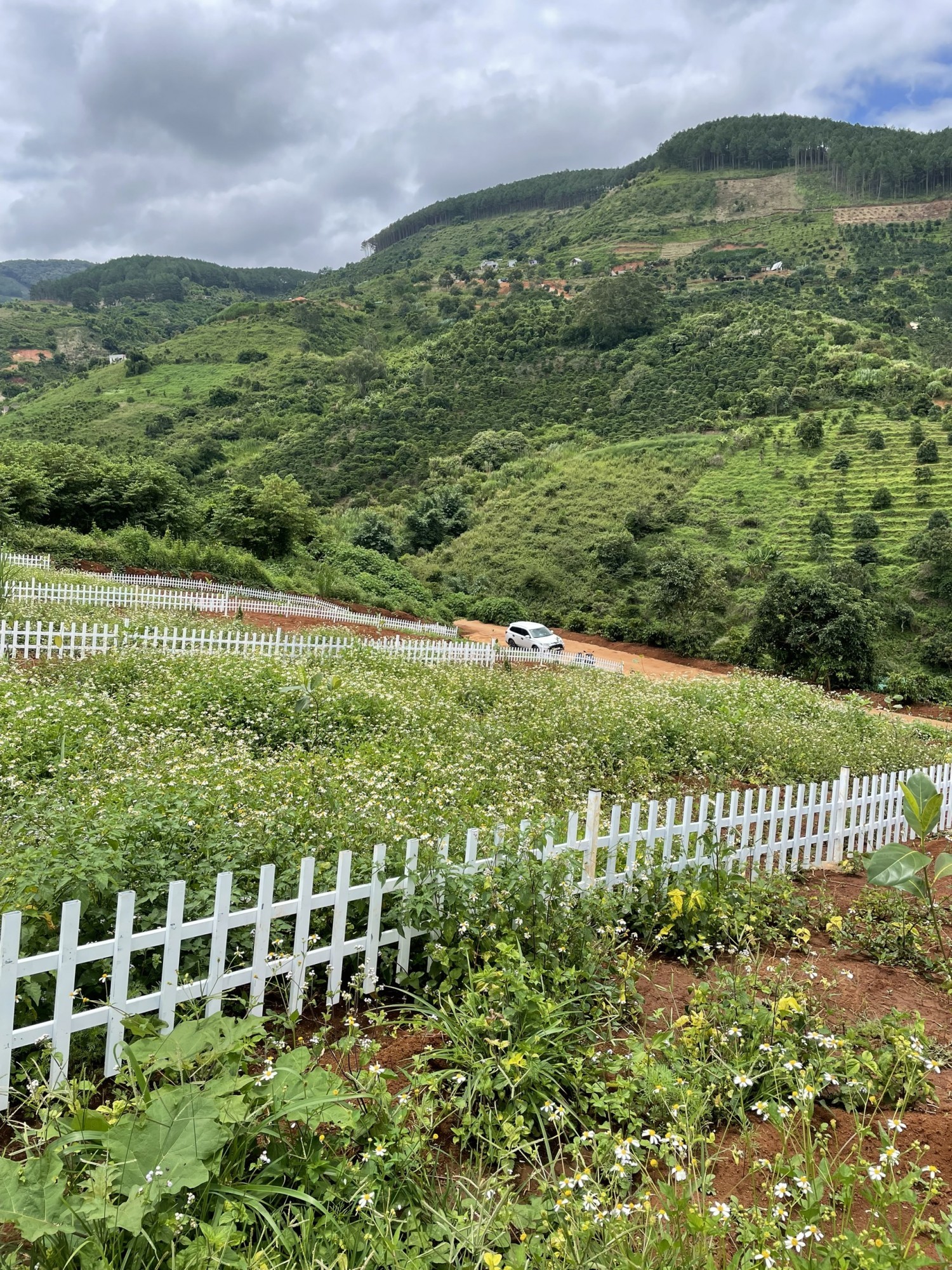 650m2 đất Trung Tâm TT Nam Ban. Mà Giá...