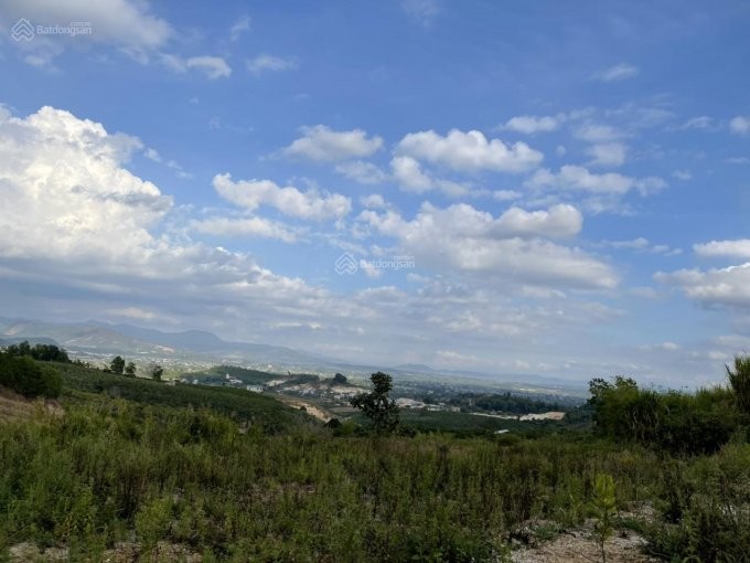 Bán 512m2 Mặt Tiền đường 7m, Thôn Hoàn...