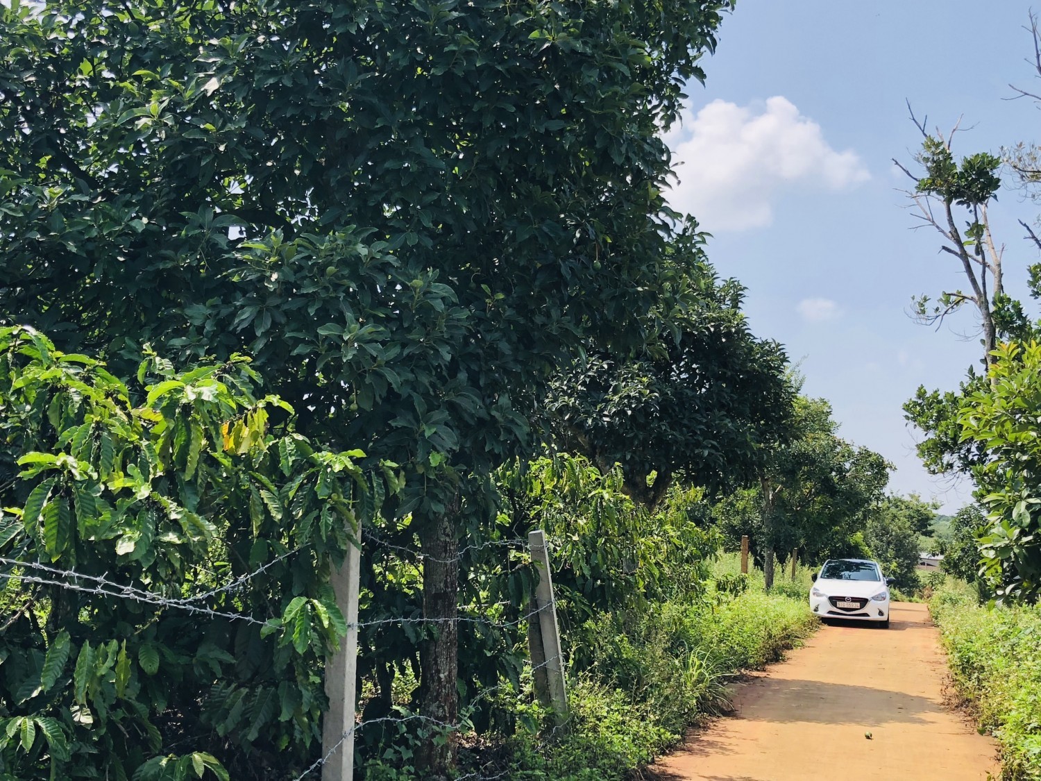 BÁN NHANH LÔ ĐẤT ĐẦU TƯ XÃ NAM HÀ. GIÁ...