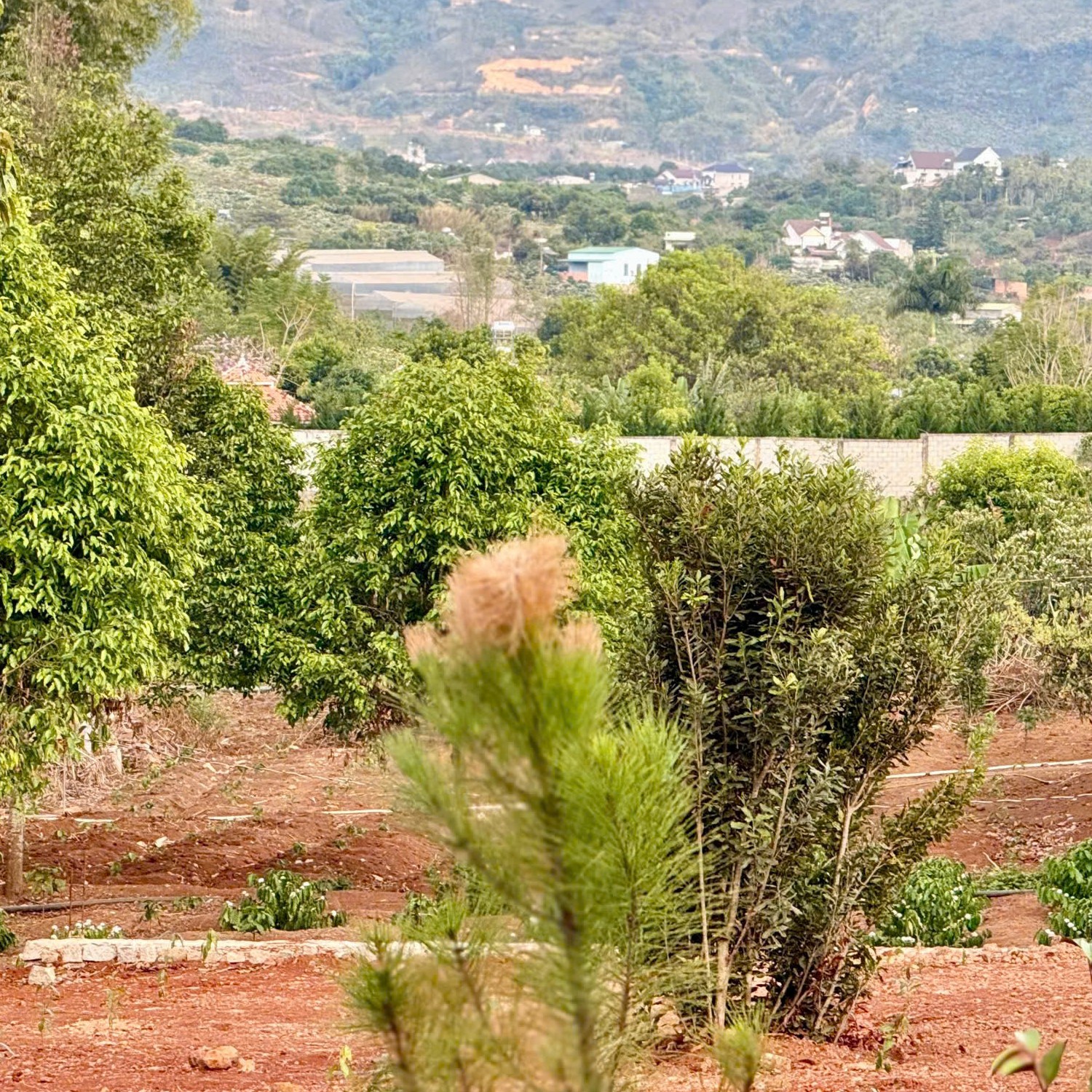 Mảnh đất gần suối nhỏ, cách đường nhựa...