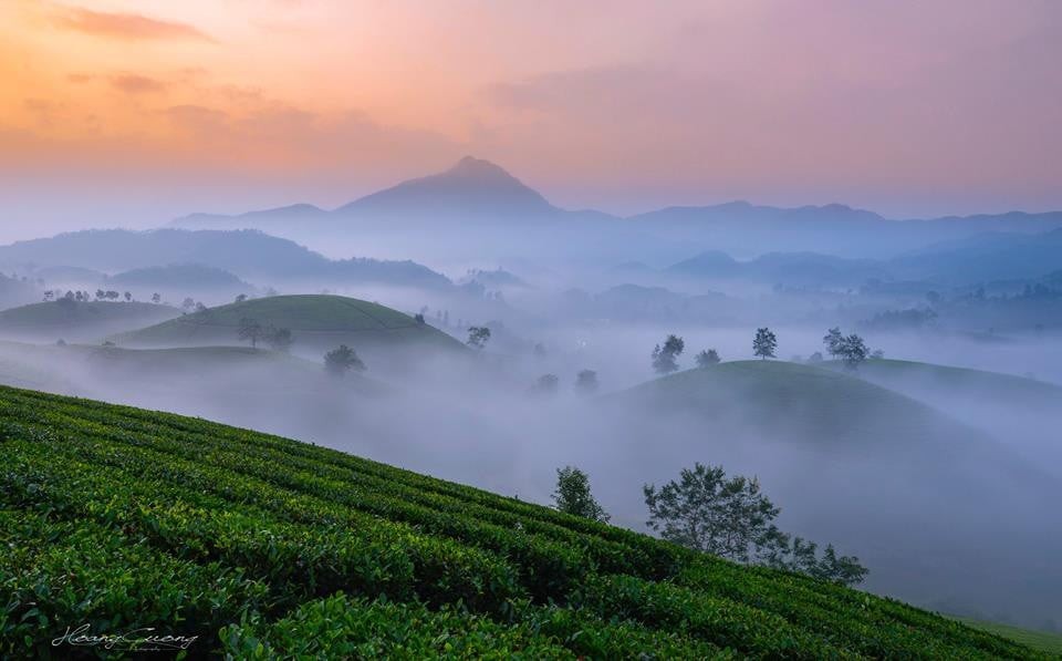 Cần bán lô đất có diện tích 3000m2 tại...