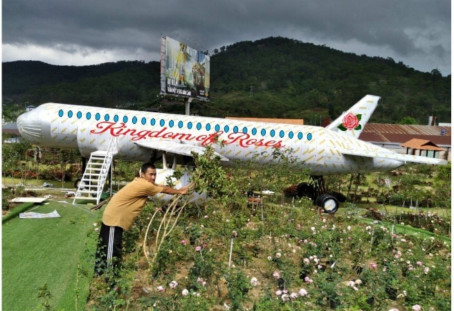 Bán 1ha đất mặt tiền đường camly phường...