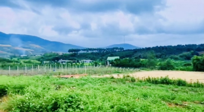 Cần tiền bán gấp 2 sào đất xã Đông Thanh...