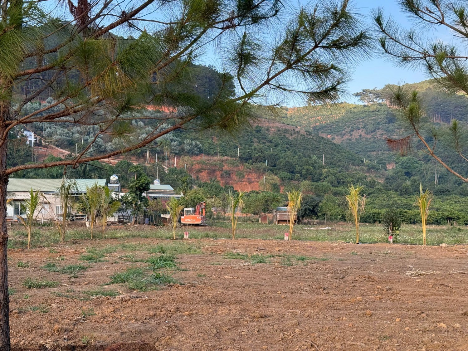 Mảnh đất view đồi thông cực Chill, cách...