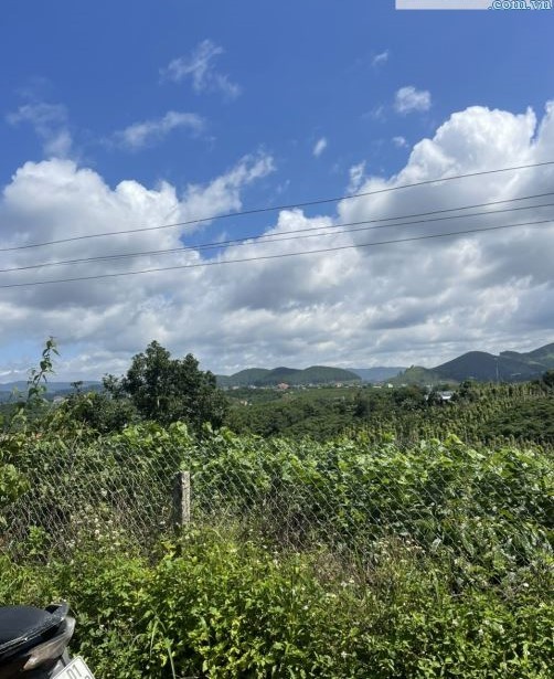 Cực rẻ ! Thích hợp AC tìm đất Ven Đà Lạt...