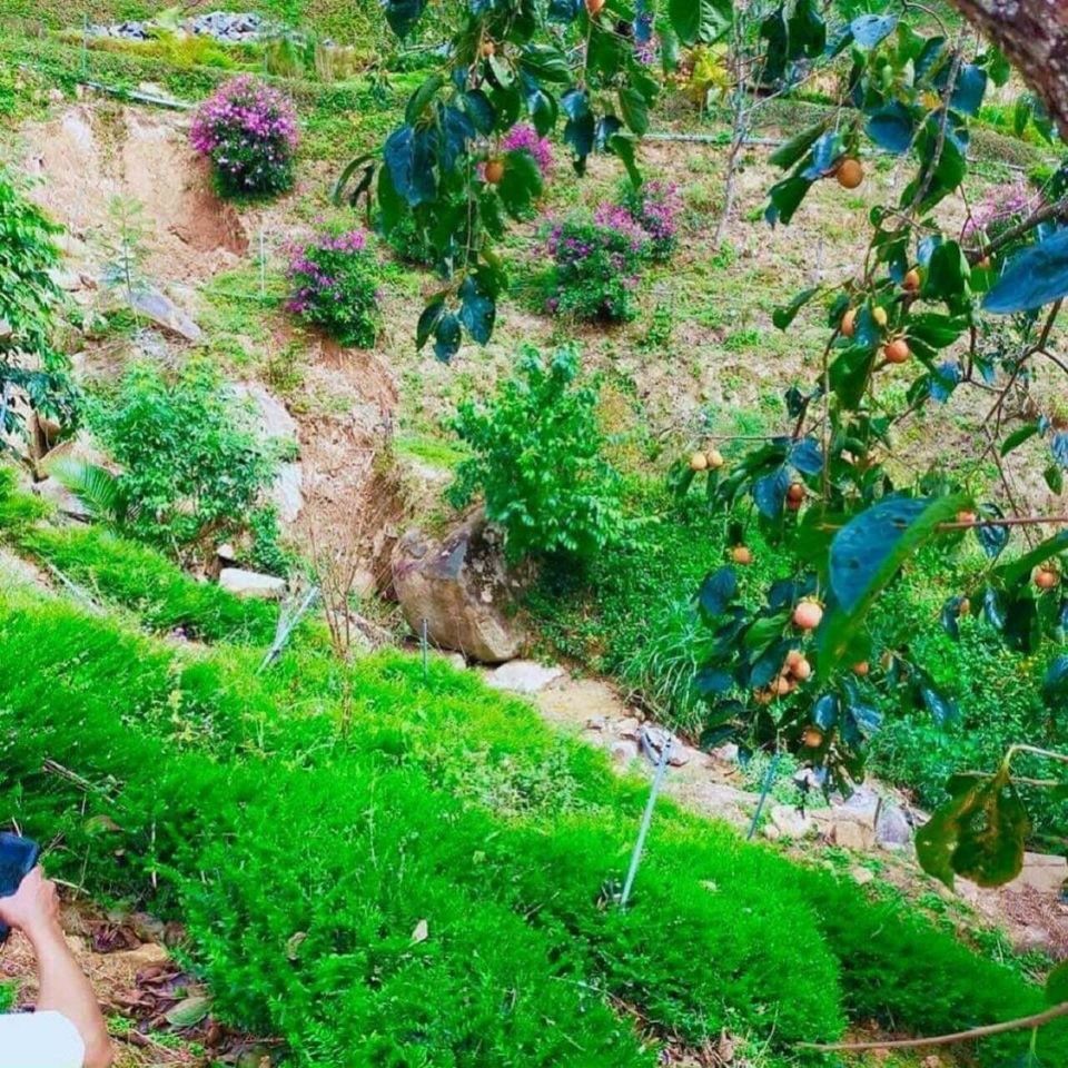 Bán lô đất diện tích 7473m2 thực tế...