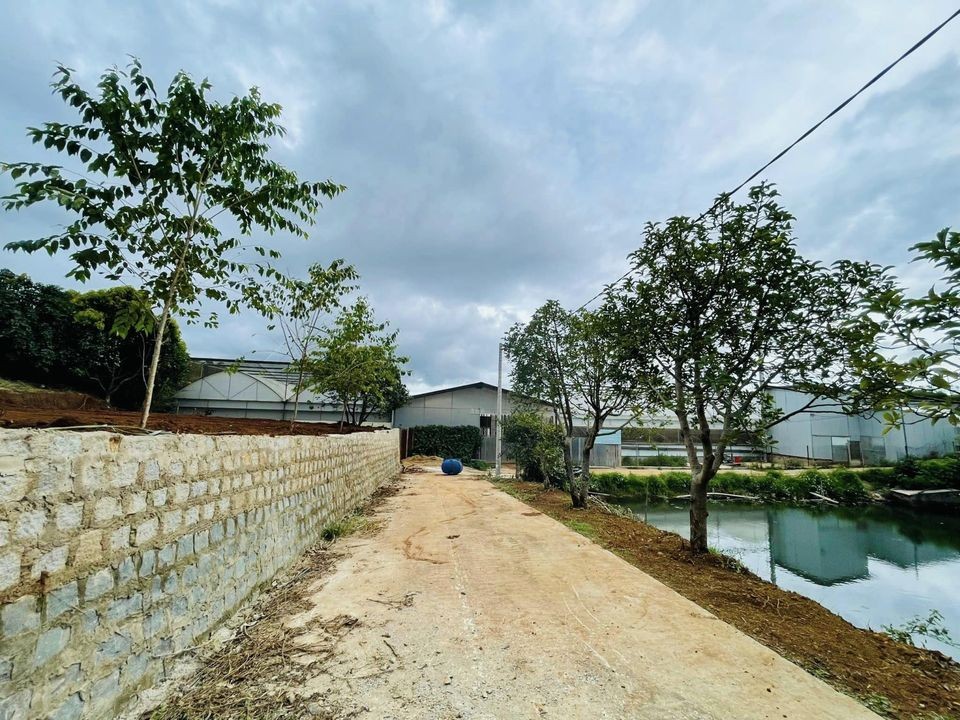 Cần bán đất đẹp Xã trạm hành Đà Lạt Dt...