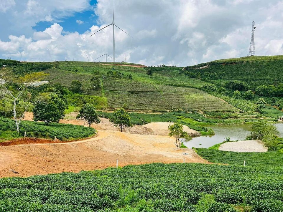 Cần tiền gấp nên bán nhanh lô đất tại xã...