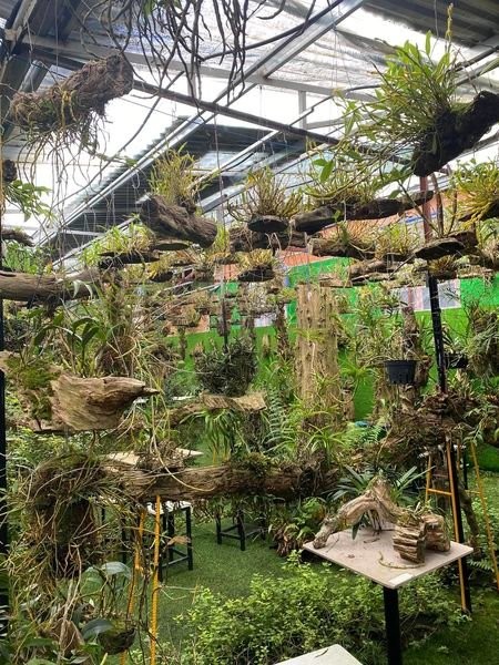 BÁN LÔ ĐẤT HẺM Ô TÔ  SUỐI HAI BÀ TRƯNG...