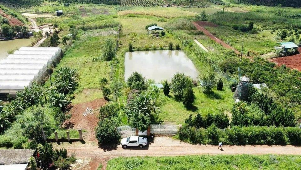 Cần bán nhanh lô đất  diện tích gần...