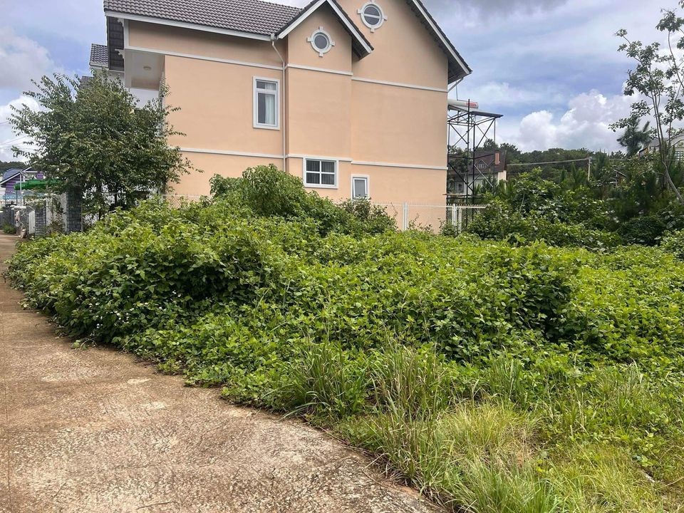 Cần bán nhanh lô đất xây tự do giá cực...