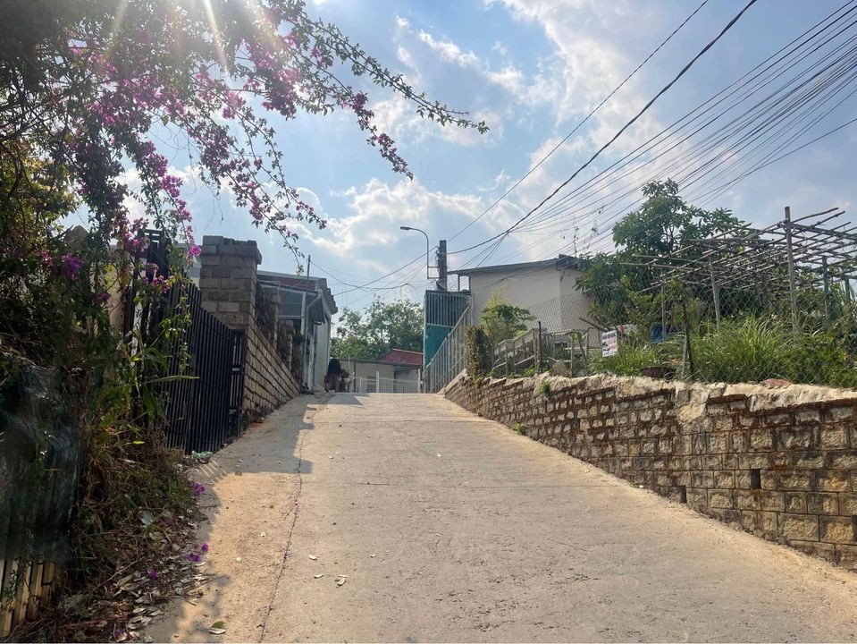 BÁN LÔ ĐẤT VIEW RỪNG THÔNG ĐƯỜNG HOÀNG...