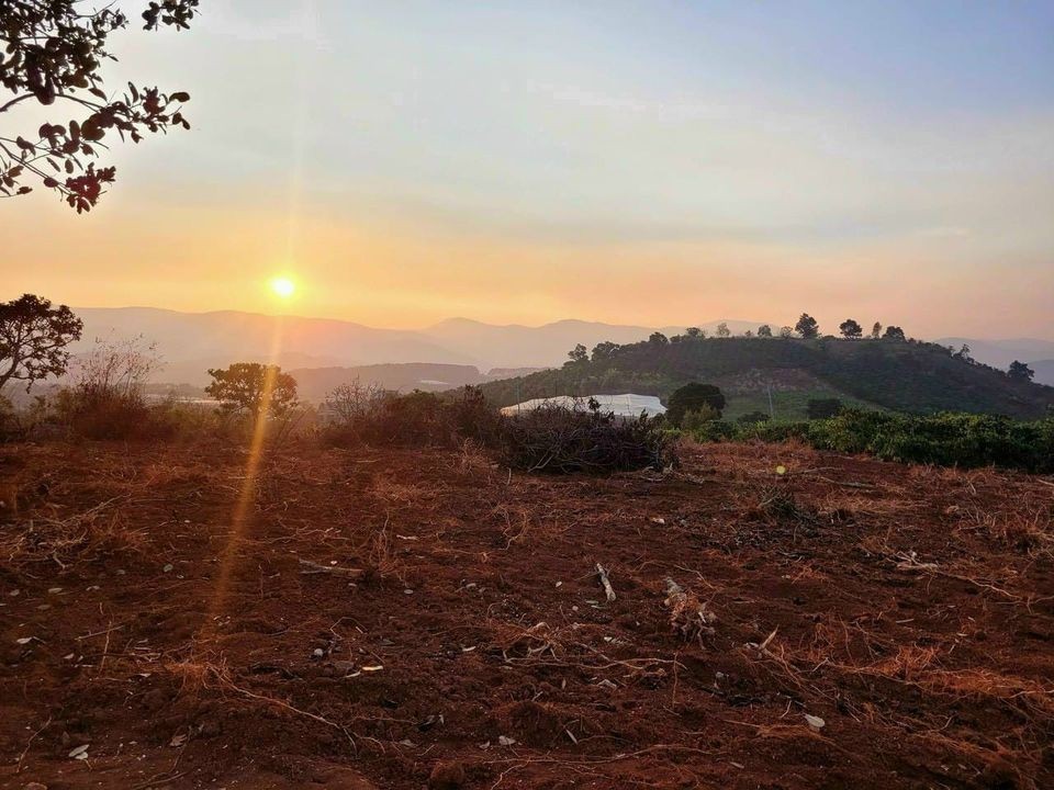 Cần bán lô Đất SRNN tại đường Đống Đa...