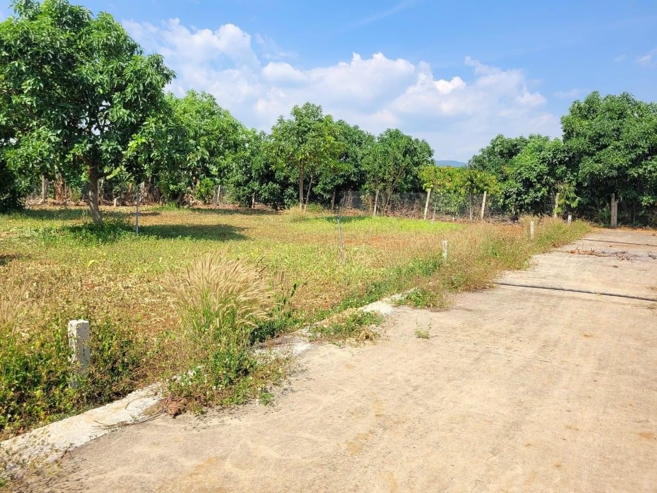 Đất ven Đà Lạt mới về hàng tại xã Đông...