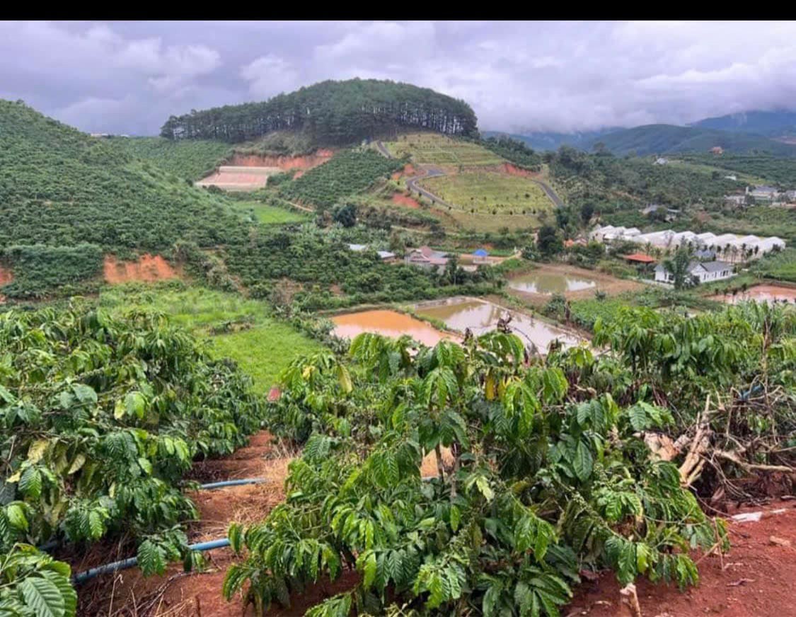 Bán Mảnh đất tâm huyết cách TP ĐL chỉ...