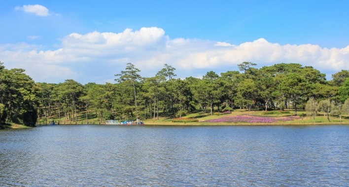 BÁN ĐẤT XÂY DỰNG SỔ RIÊNG TẠI PHƯỜNG...