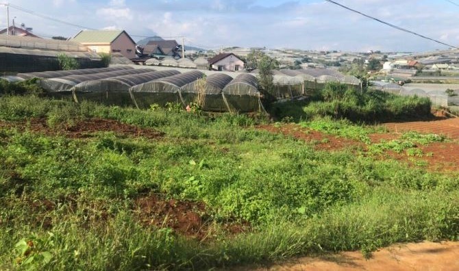 BÁN ĐẤT ĐƯỜNG TRỊNH HOÀI ĐỨC, PHƯỜNG 11,...