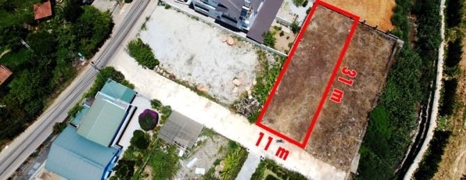 BÁN LÔ ĐẤT 440 M2 VIEW RỪNG THÔNG, MẶT...