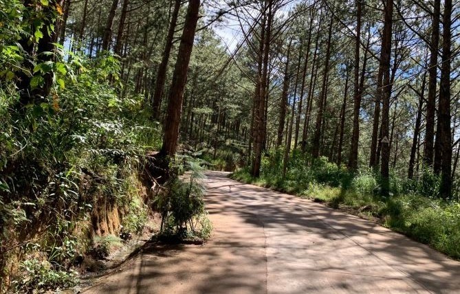 BÁN LÔ ĐẤT ĐƯỜNG HÙNG VƯƠNG 1HECTA VIEW...