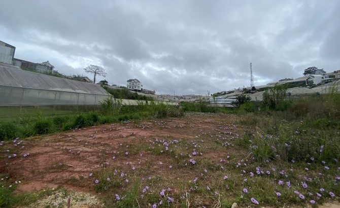 Cần bán đất hẻm xe hơi đường Trịnh Hoài...