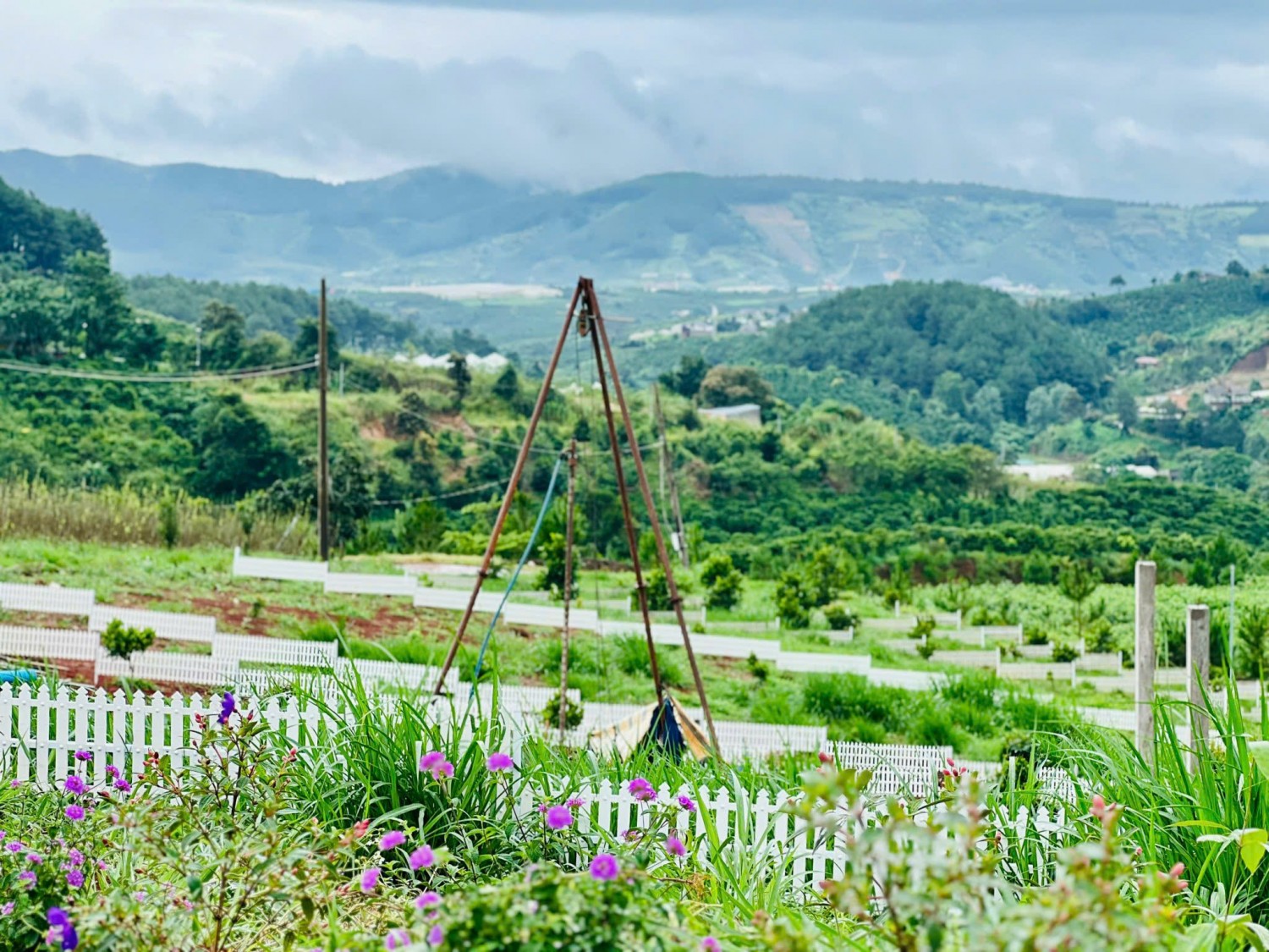 Đất giá siêu rẻ, Sẵn sổ, Sẵn thổ cư được...