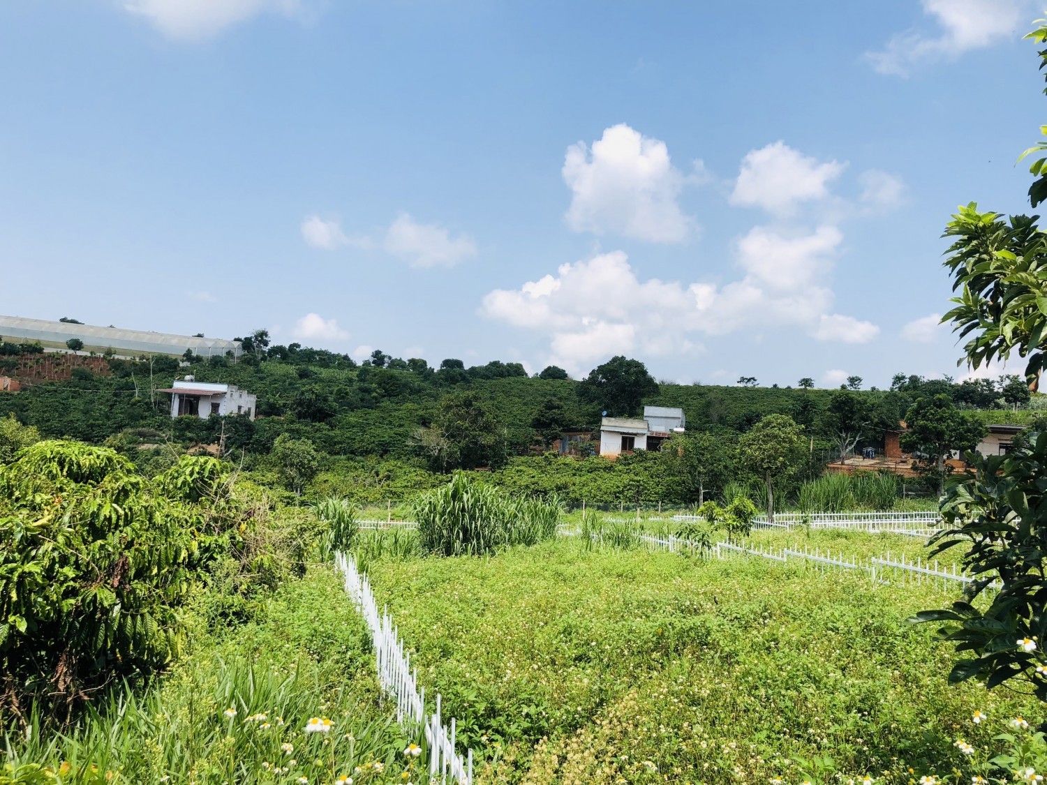 Bán Đất Thổ Cư-Nghĩ Dưỡng Gần UB Xã Nam...