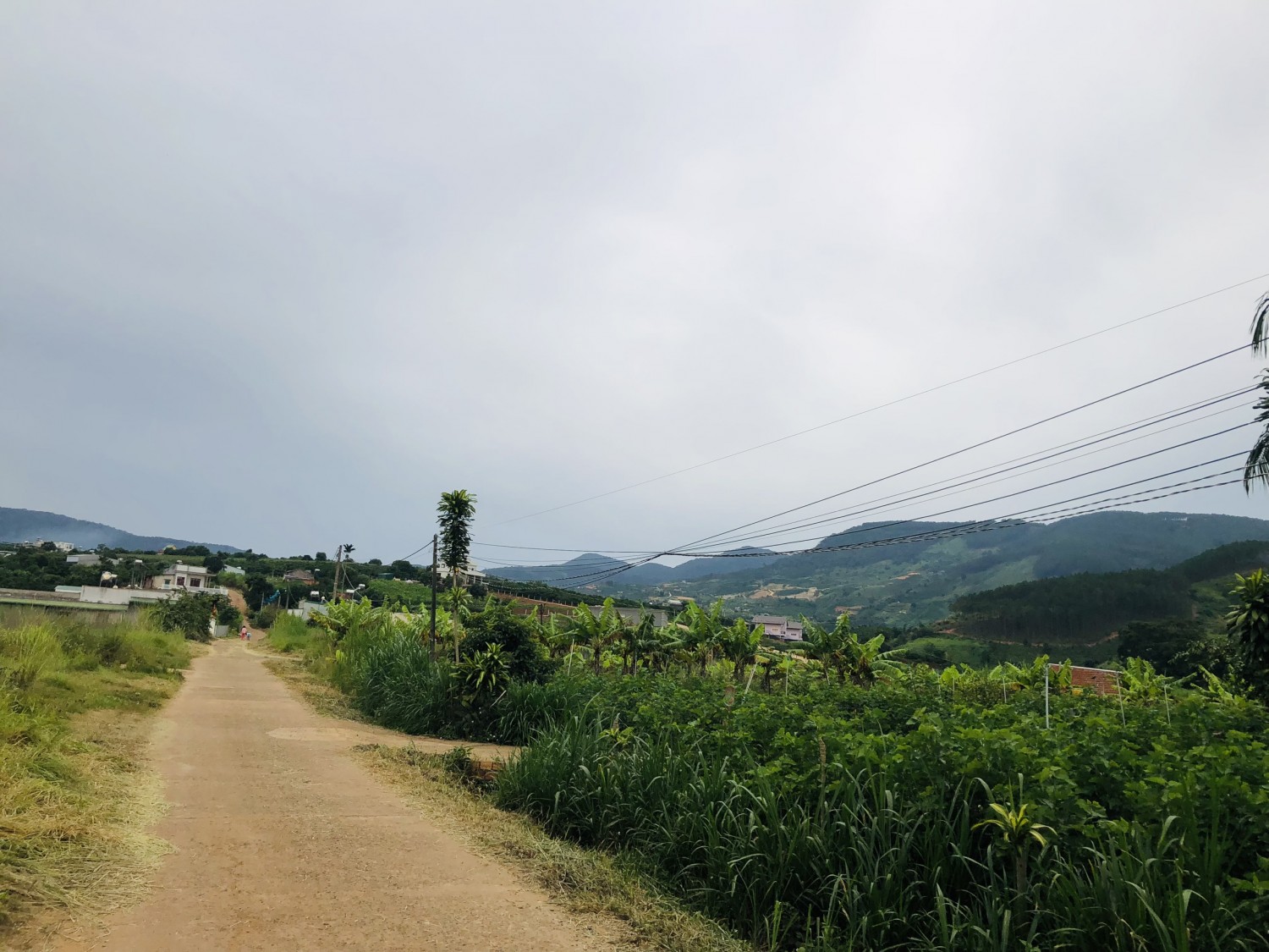 Cần Bán Gấp Lô đất Xã Đông Thanh, Cách...