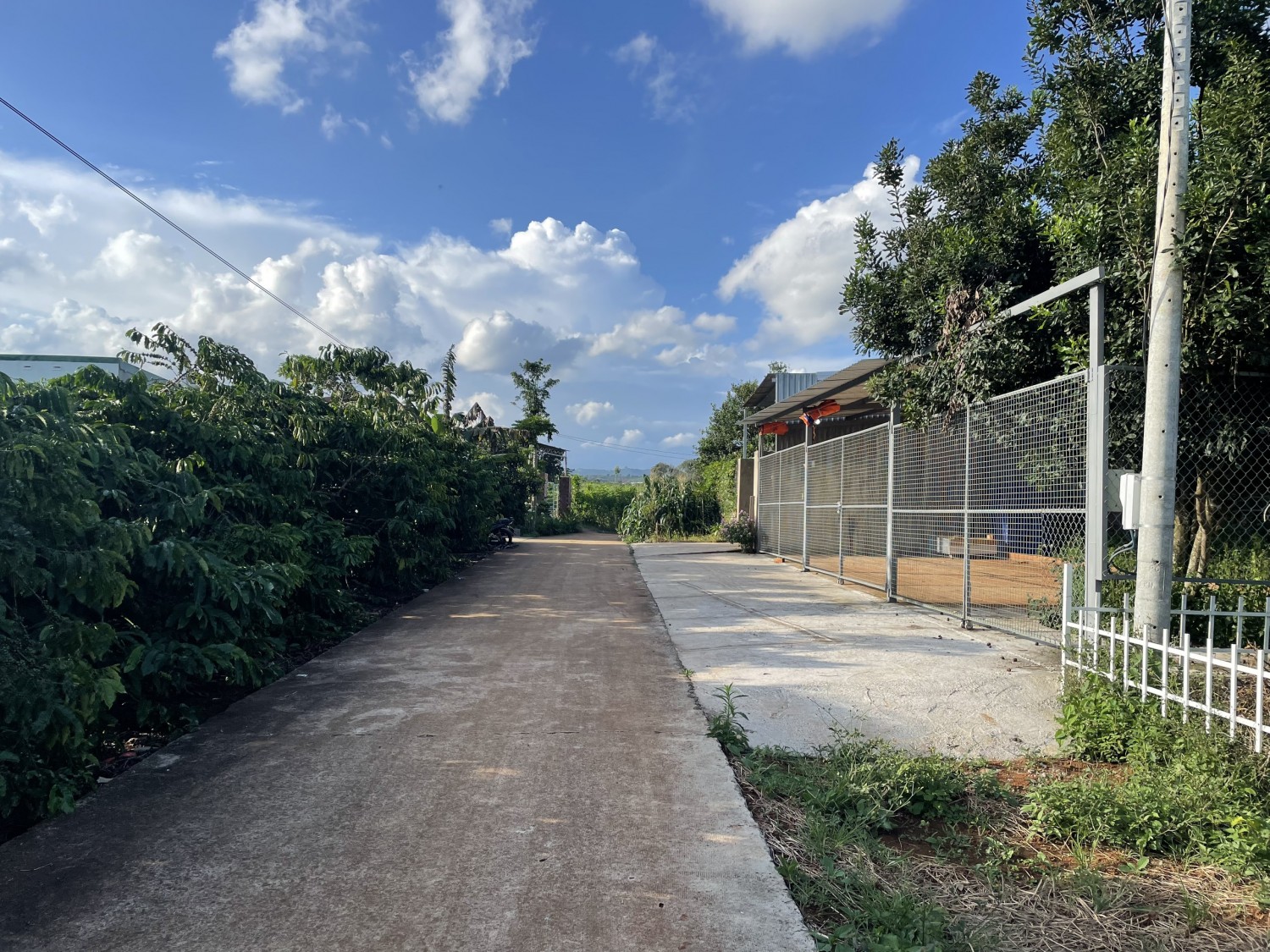 Giảm mạnh 30%. Bán nhanh lô đất đẹp ven...