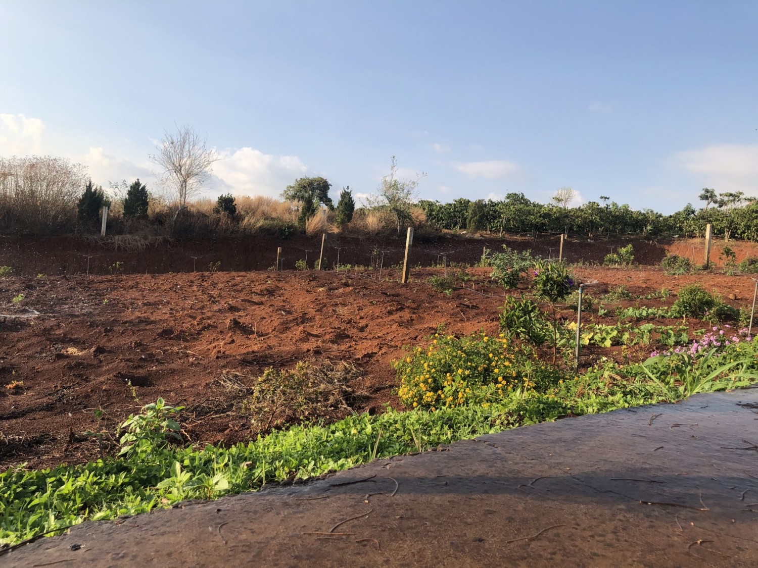 Đất Nghĩ Dưỡng TT Nam Ban 870tr Nguyên...