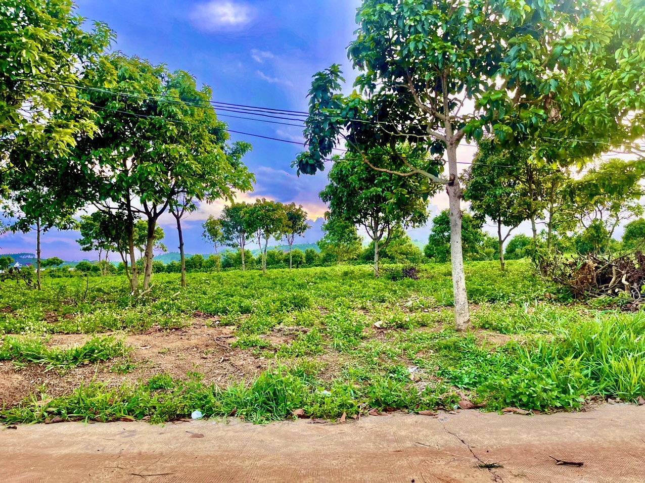 Bán Nhanh Lô Đất Gần Đường Nhựa xã Nam...