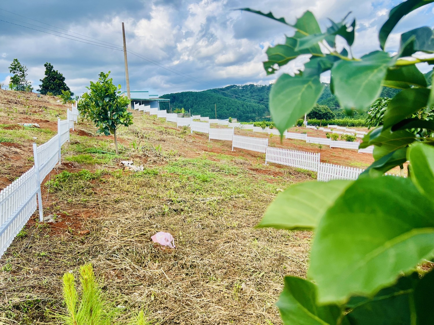 10x46m (168m2 ONT) gần trung tâm THỊ...