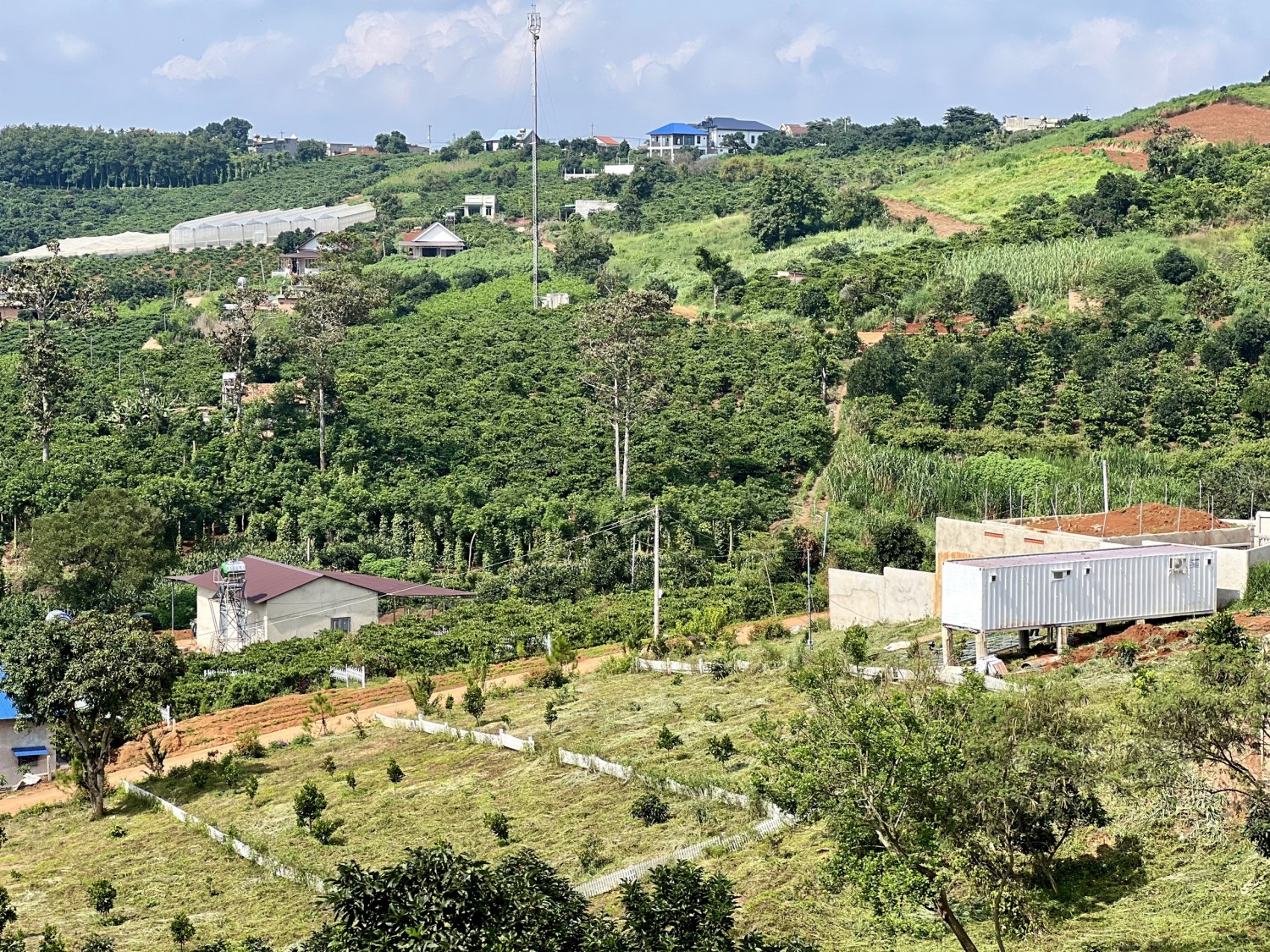 Sẵn sổ, sẵn 300m2 thổ cư. Đường betong...