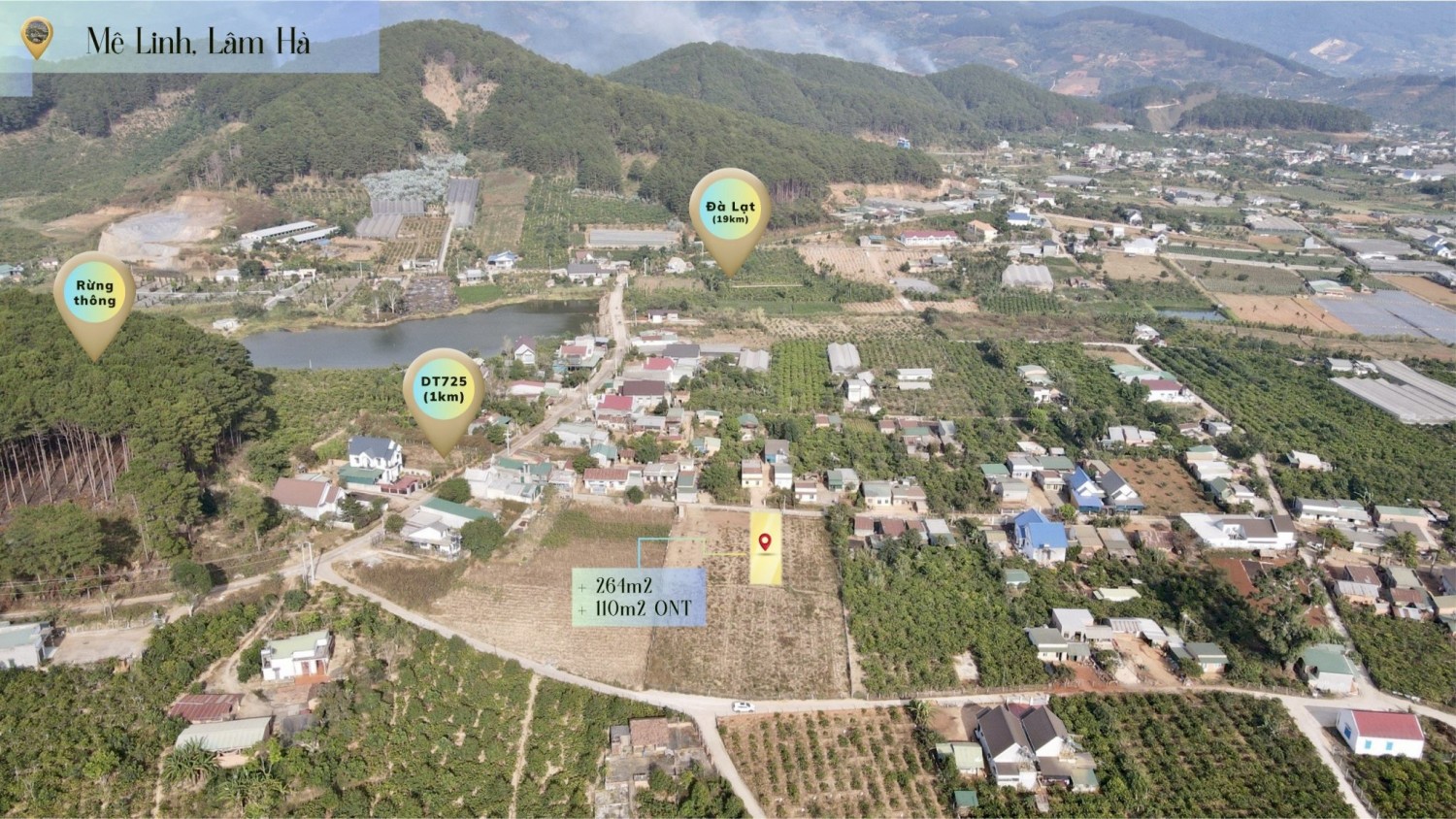 Thanh Lí Lô Đất cuối cùng Mê Linh Quy...