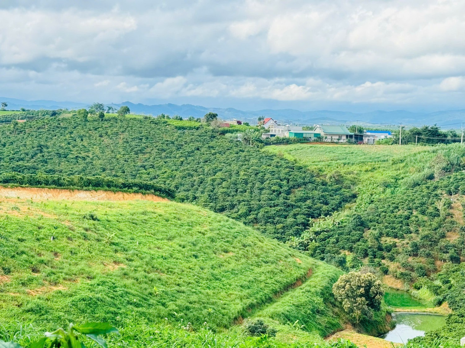 Bán đất Đà Lạt mở Rộng mặt tiền đường...