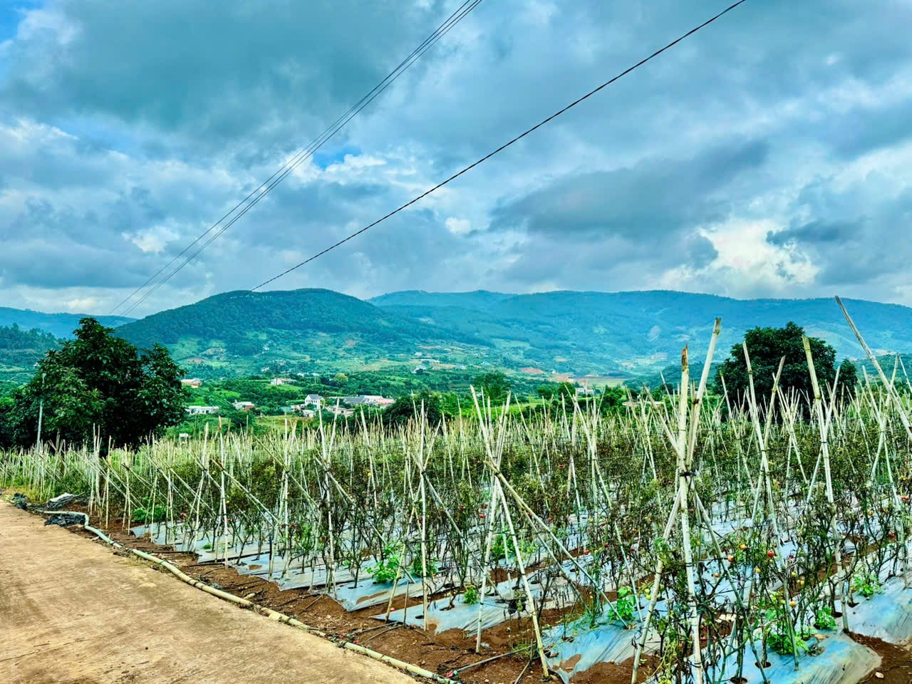 Bán lô đất View trực diện hồ Đông Thanh....